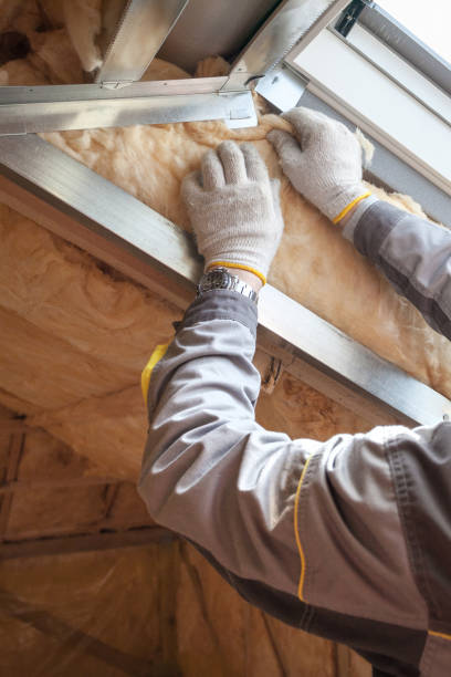 Best Insulation for New Construction  in Clio, MI