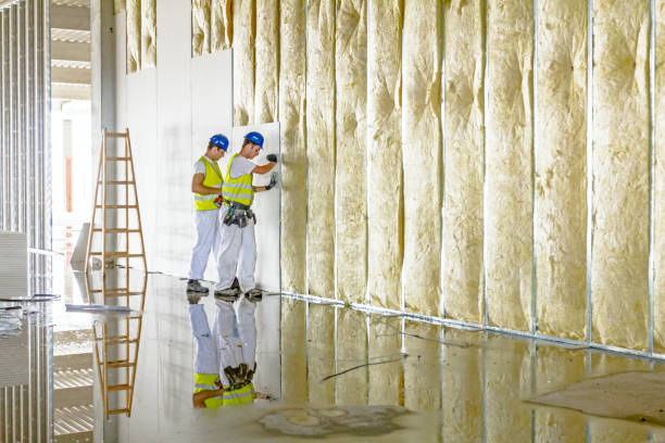 Best Insulation Air Sealing  in Clio, MI